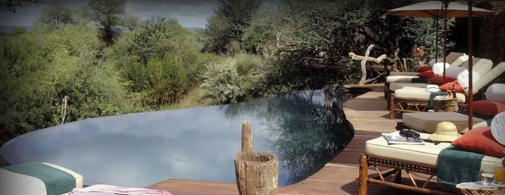 Sanctuary Makanyane Safari Lodge Madikwe Game Reserve Eksteriør billede