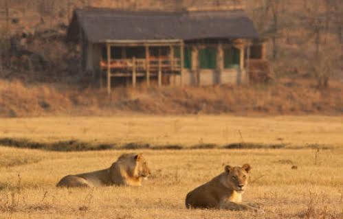 Sanctuary Makanyane Safari Lodge Madikwe Game Reserve Eksteriør billede